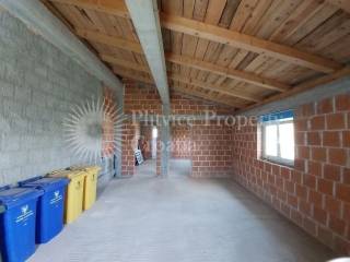 Family house, Sale, Rakovica, Rakovica