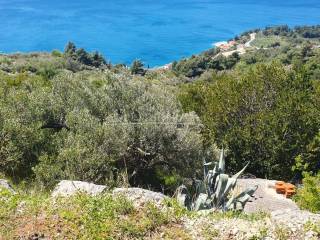 Prodaja, Podgora,Podgora