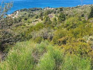 Prodaja, Podgora,Podgora
