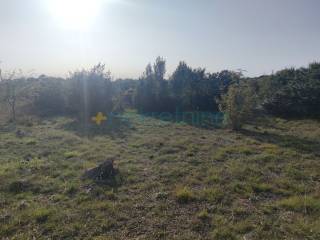 Plot for construction, Sale, Poličnik, Briševo