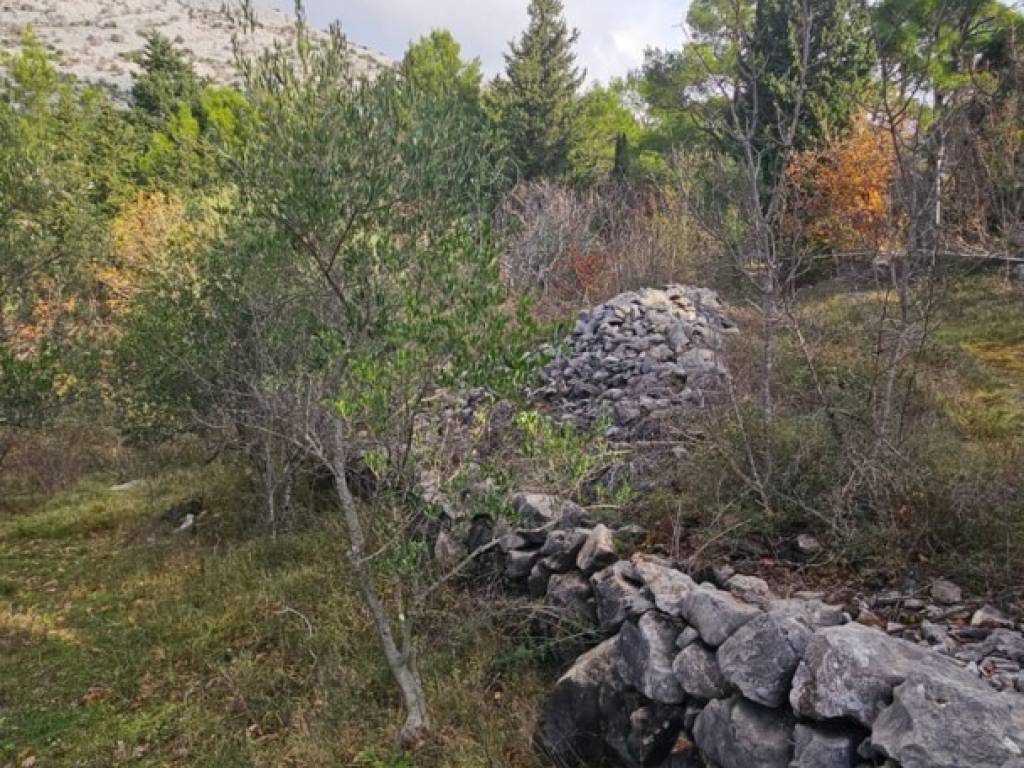 Starigrad, Starigrad