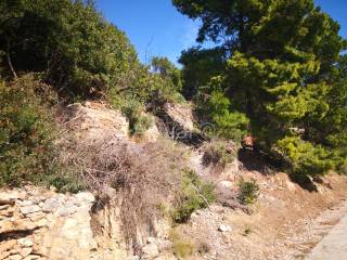 Land plot - other, Sale, Hvar, Zaraće