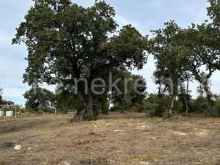 Plot for construction, Sale, Vodnjan, Barbariga