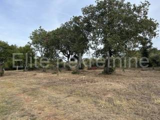 Plot for construction, Sale, Vodnjan, Barbariga
