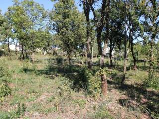 Plot for construction, Sale, Marčana, Rakalj