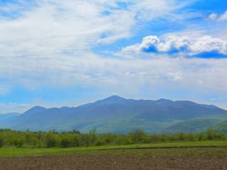 Pogled
