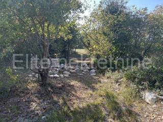 Forest, Sale, Vodnjan, Vodnjan