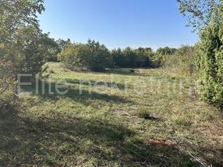 Forest, Sale, Vodnjan, Vodnjan
