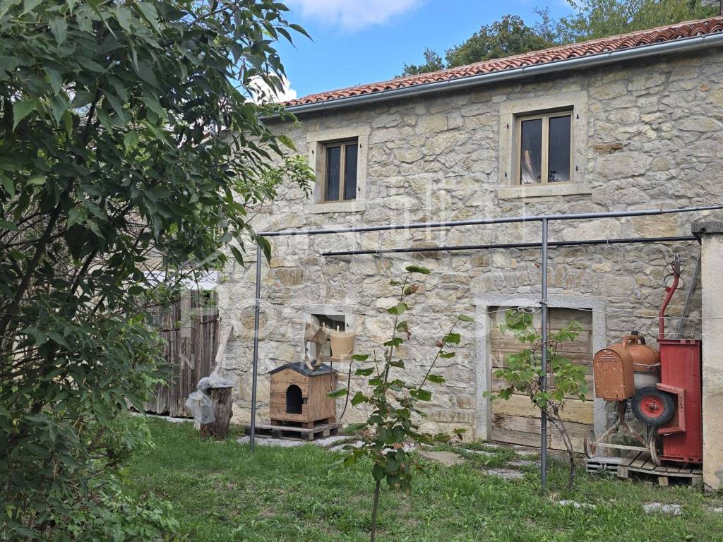 Buzet, Buzet
