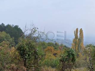 Jastrebarsko - Okolica, Plesivica
