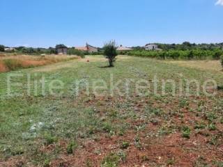 Plot for residential construction, Sale, Ližnjan, Muntić