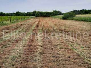 Plot for residential construction, Sale, Ližnjan, Muntić