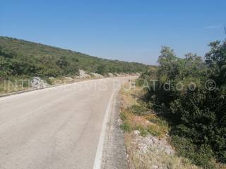 Agricultural plot, Sale, Šibenik - Okolica, Zaton