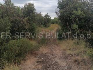 Agricultural plot, Sale, Šibenik, Šibenik