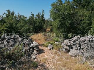 Agricultural plot, Sale, Drniš, Brištani