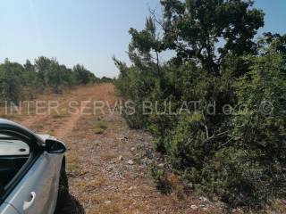 Agricultural plot, Sale, Drniš, Brištani
