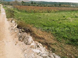 Poljoprivredno zemljište, Prodaja, Šibenik - Okolica, Jadrtovac