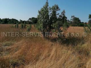 Agricultural plot, Sale, Drniš, Drinovci