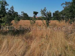 Agricultural plot, Sale, Drniš, Drinovci