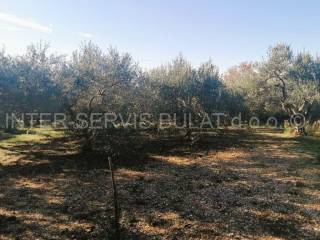Agricultural plot, Sale, Šibenik - Okolica, Donje Polje
