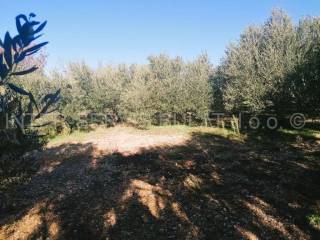 Agricultural plot, Sale, Šibenik - Okolica, Donje Polje