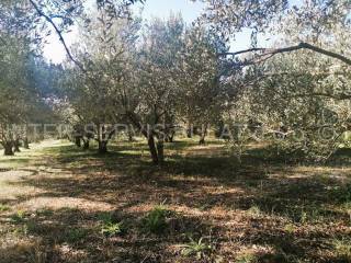 Agricultural plot, Sale, Šibenik - Okolica, Donje Polje