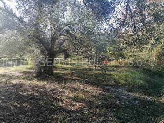 Agricultural plot, Sale, Šibenik - Okolica, Donje Polje