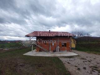 Family house, Sale, Rakovica, Rakovica