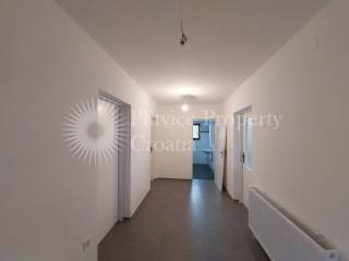 Family house, Sale, Rakovica, Rakovica