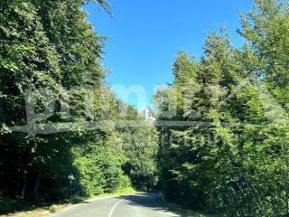 Meadow, Sale, Ogulin, Ogulin