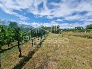 Buzet, Buzet
