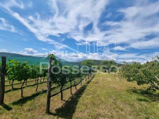 Buzet, Buzet