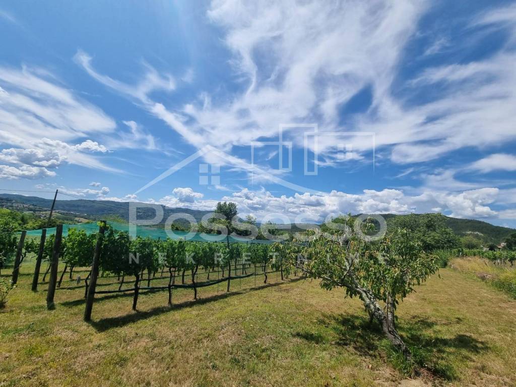 Buzet, Buzet