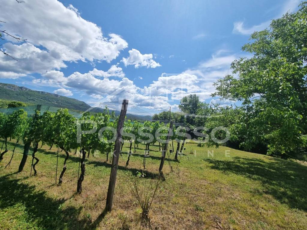 Buzet, Buzet