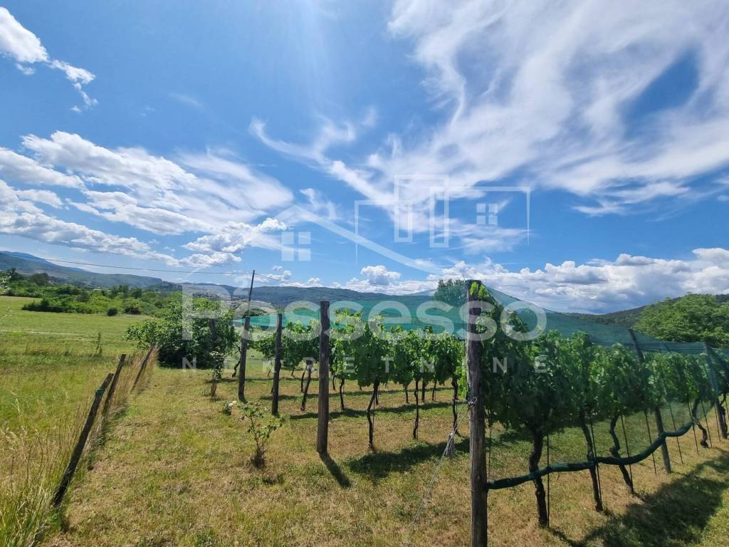 Buzet, Buzet