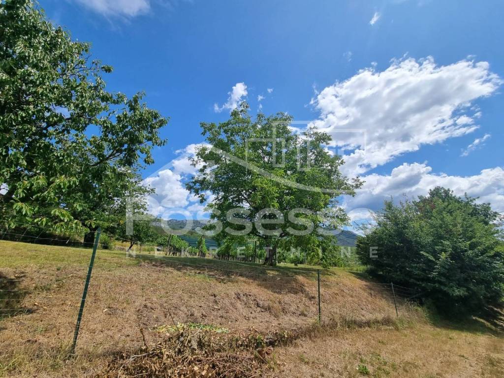Buzet, Buzet