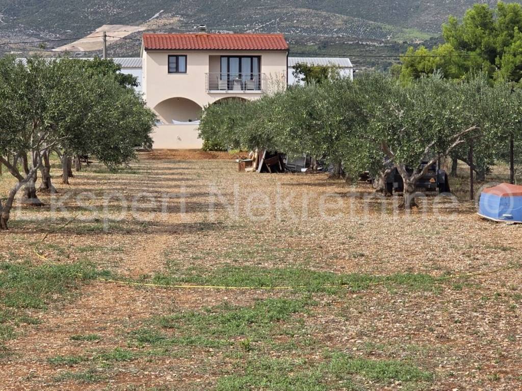 Trogir - Okolica, Divulje