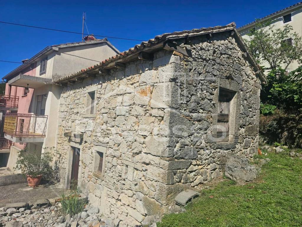 Buzet, Hum