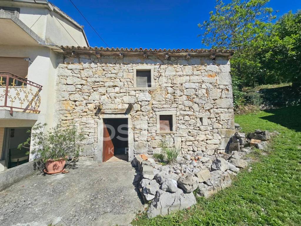 Buzet, Hum