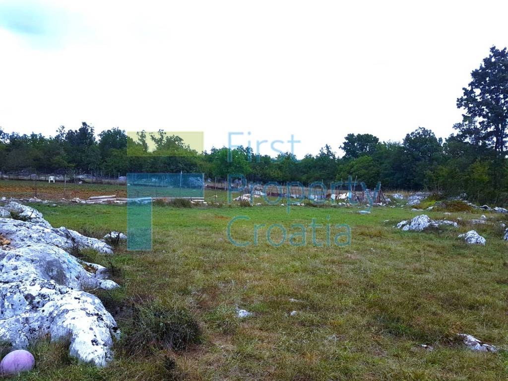 Sinj, Turjaci