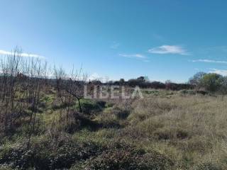 Plot for construction, Sale, Ližnjan, Muntić