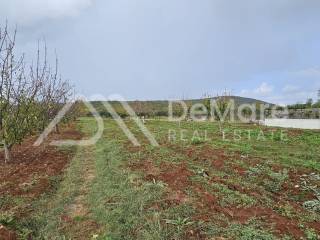Gradjevinsko zemljiste, Prodaja, Sukosan, Debeljak