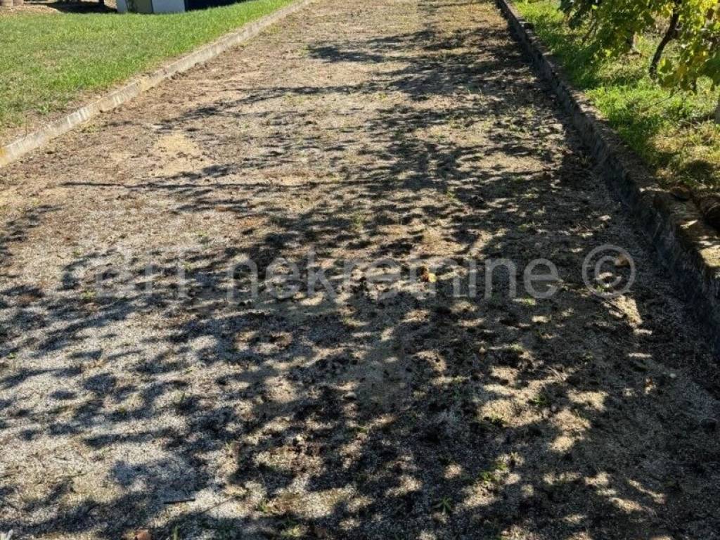Novigrad Podravski, Novigrad Podravski