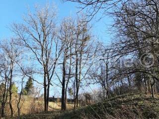 Land plot - other, Sale, Koprivnica - Okolica, Draganovec