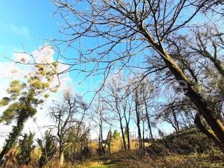 Land plot - other, Sale, Koprivnica - Okolica, Draganovec