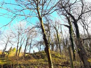 Land plot - other, Sale, Koprivnica - Okolica, Draganovec
