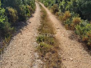 Plot for construction, Sale, Zadar - Okolica, Molat