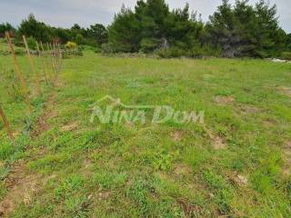 Agricultural plot, Sale, Vir, Vir