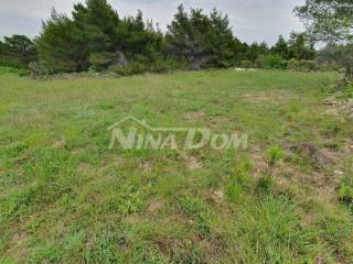 Agricultural plot, Sale, Vir, Vir