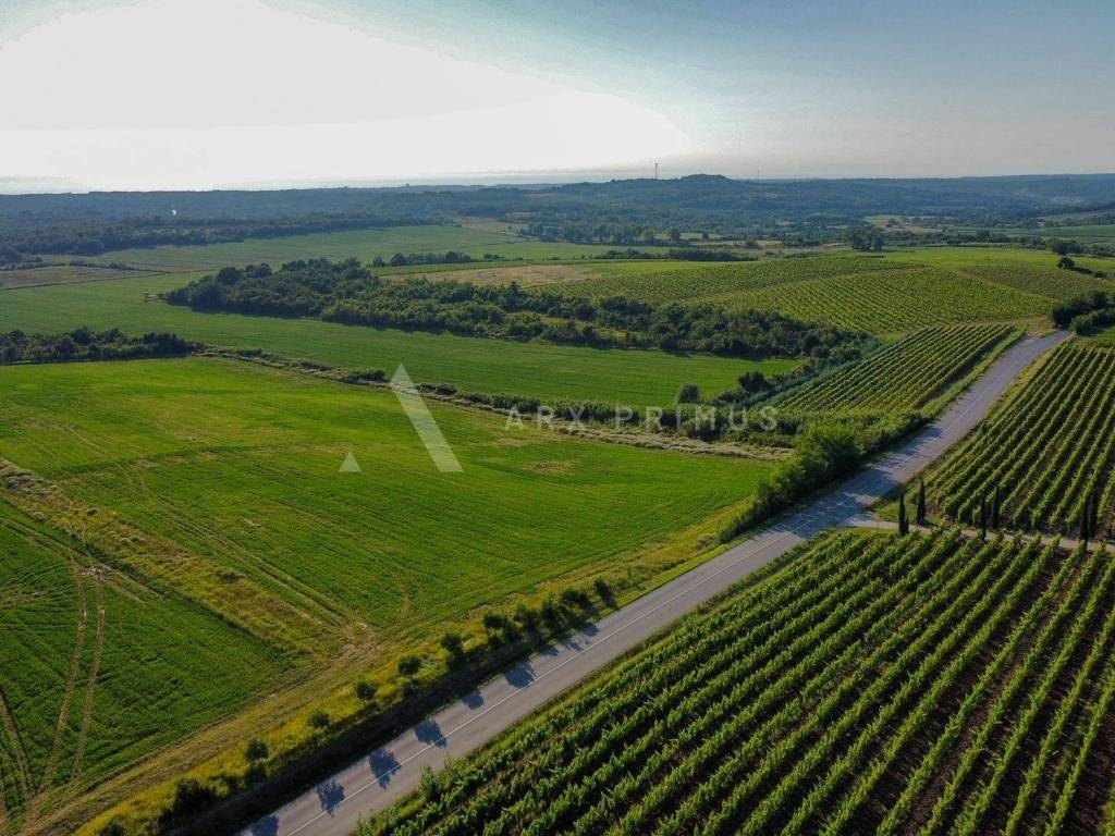 Poljoprivredno zemljiste, Prodaja, Buje, Buje